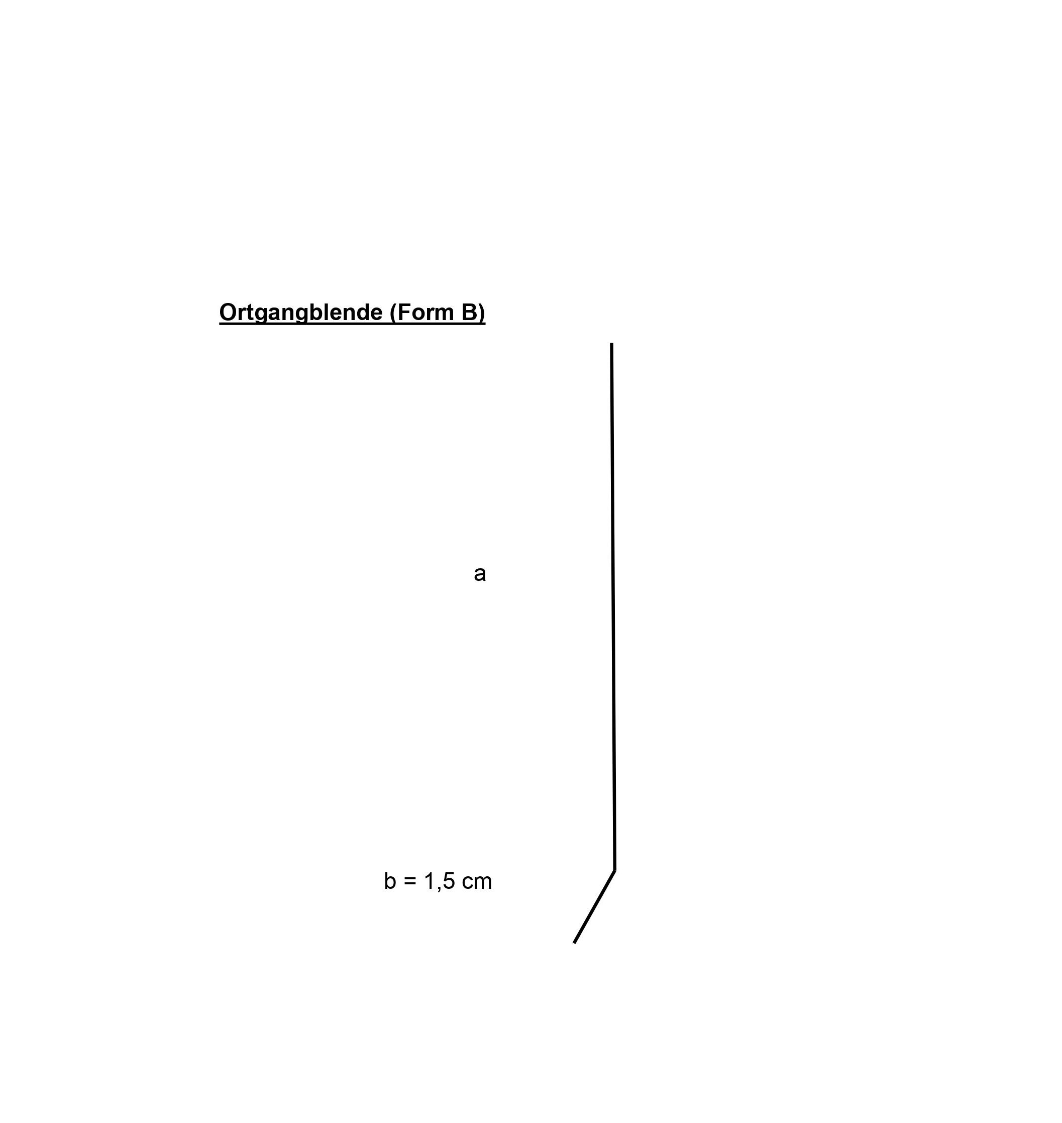 2 m Ortblende Ortgangblende Windbrett Ortgangbrettverkleidung  Dachblende Alu Natur (Form B)